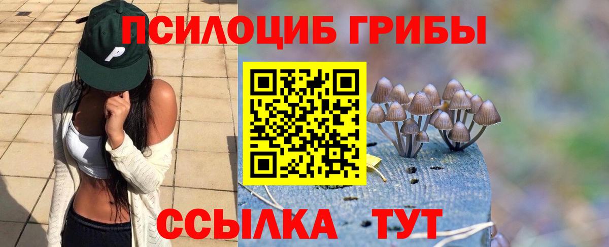 Сафоново  Псилоцибиновые грибы мицелий  Вход с VPN  Псилоцибиновые грибы Magic Shrooms 