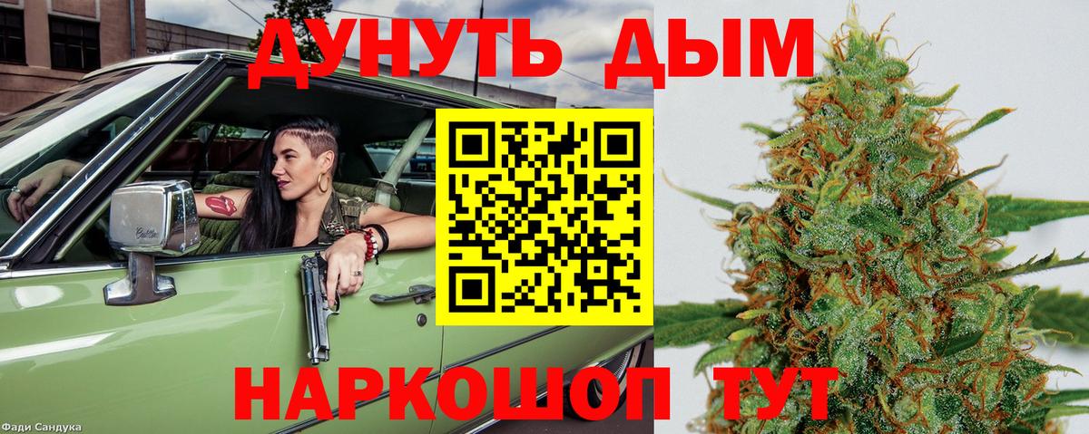 Канабис сатива Сафоново